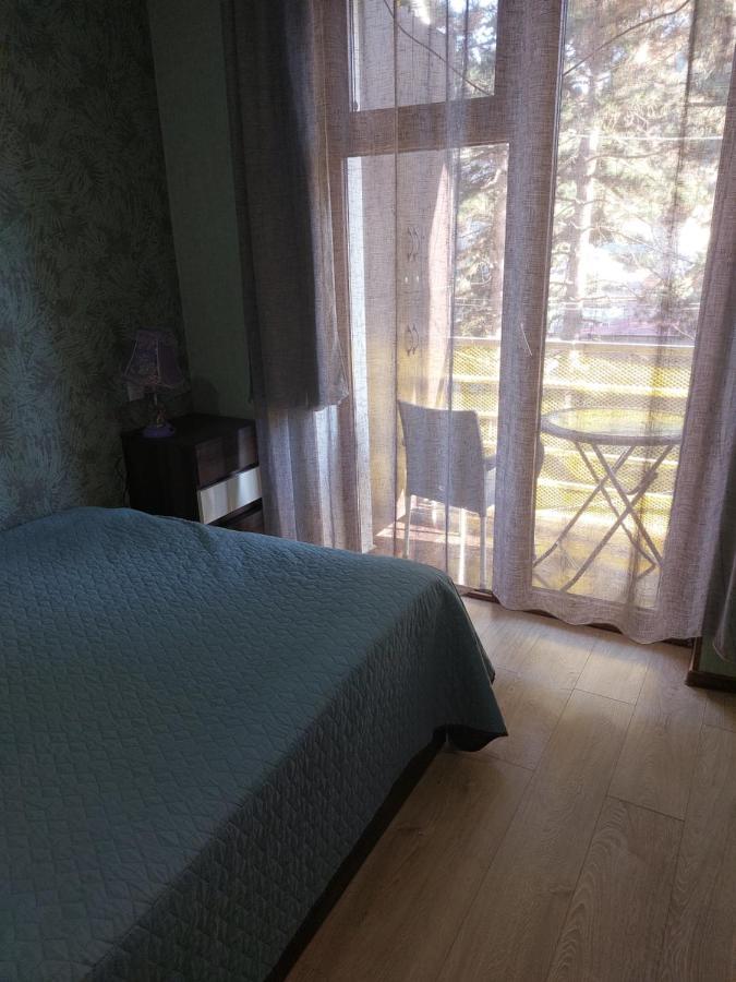 Londa Lejlighed Borjomi Eksteriør billede